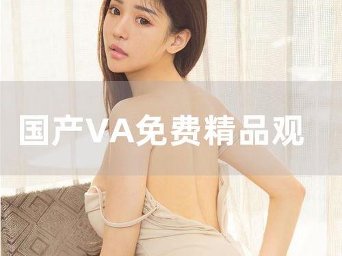 国产va在线视频,畅享视听盛宴，解锁精彩瞬间